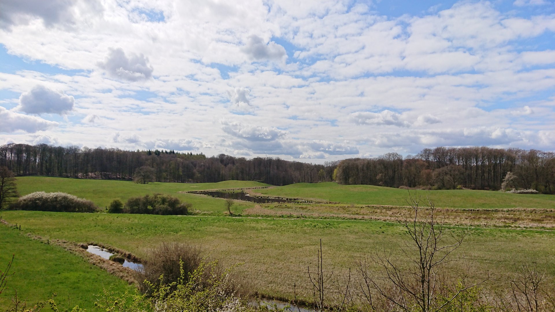 Ausblick übers Biosphärenreservat Schaalsee (Foto Marie-Kristin Guß) Ausblick übers Biosphärenreservat Schaalsee (Foto Marie-Kristin Guß)