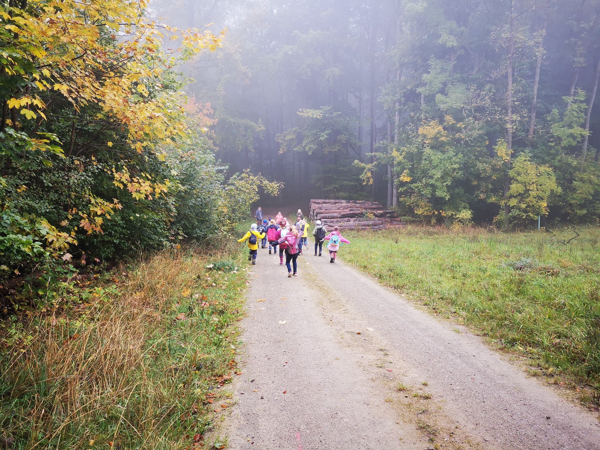 Ein lichter Waldweg an einem nebligen Tag, in einiger Entfernung ist eine Gruppe Kinder im Weggehen zu sehen