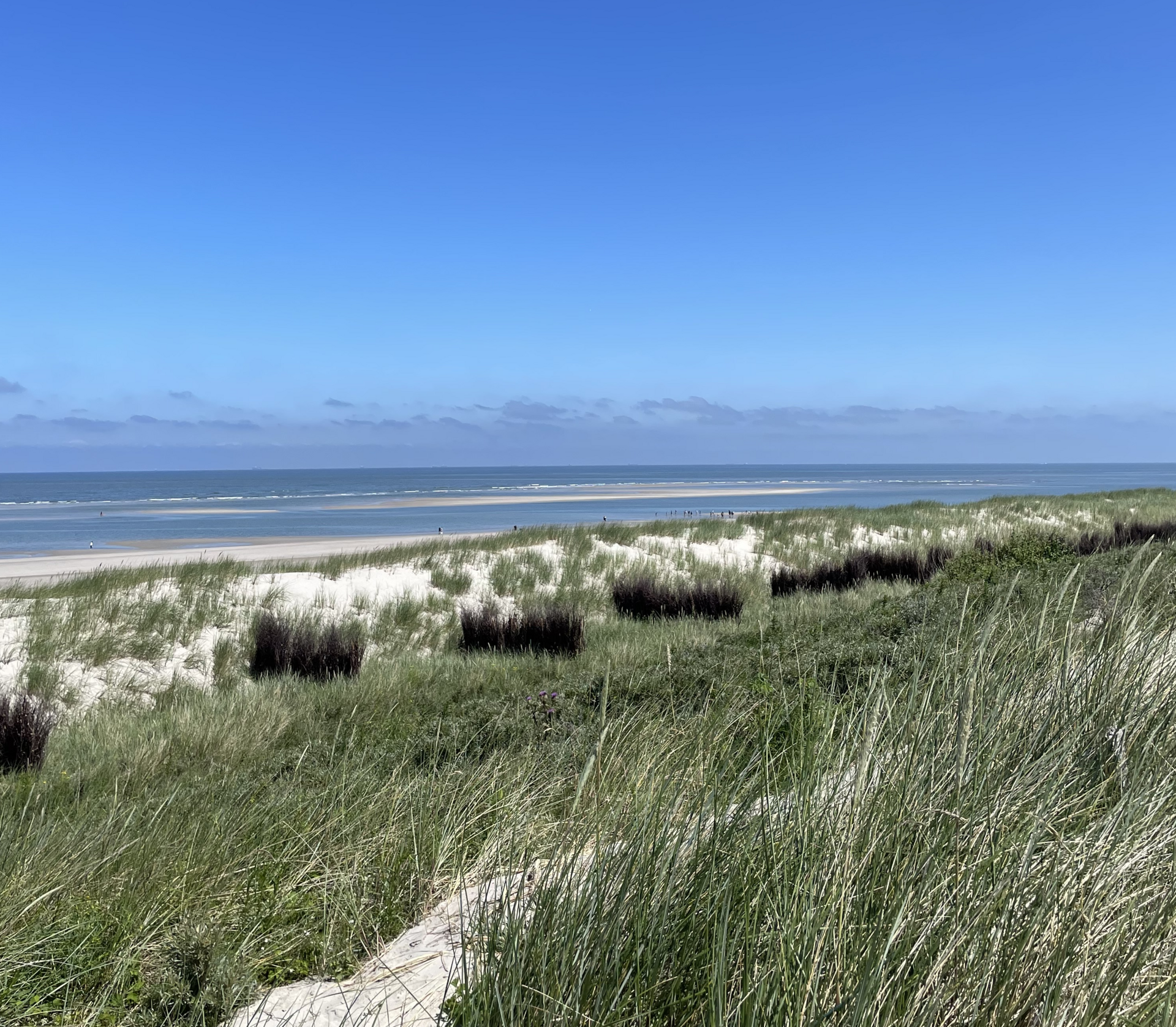 Foto: Lisa-Maria Wagner Blick auf eine Dünenlandschaft vor dem offenen Meer.