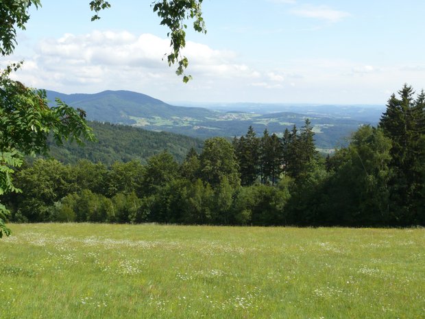 Naturpark Bayerischer Wald Blick in das Waldpanorama Naturpark Bayerischer Wald
