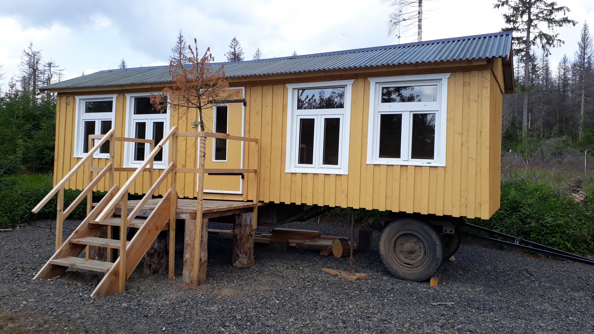 Foto: Hannah Graßold Das Waldlabor: ein gelber Holz-Bauwagen mit großen Fenstern auf einer Lichtung