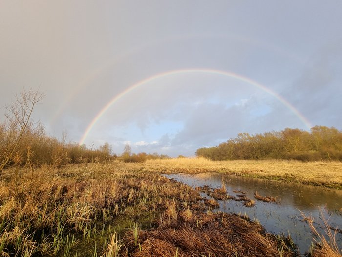 Zwei Regenbogen erstrecken sich am Himmel über die Feuchtsgebietslandschaft.