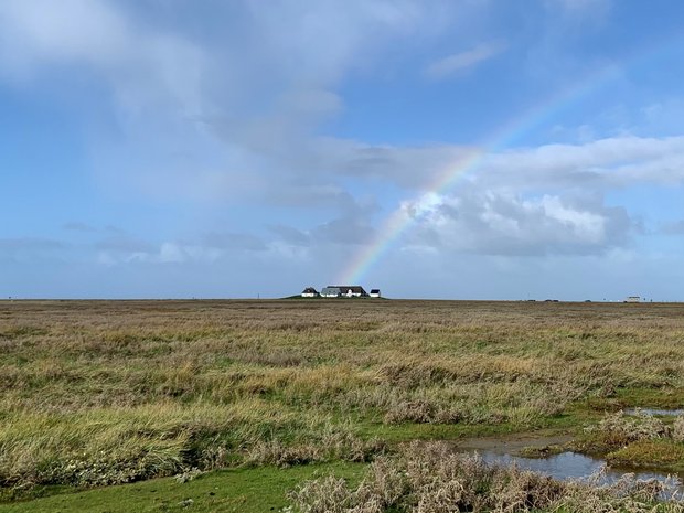 Weite Landschaft, unten Salzwiese, oben endloser Himmel, aus dem ein Regenbogen auf die kleine Häusergruppe in der Bildmitte weist