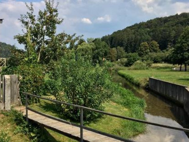 Foto: Louisa Schauer Blick von Brücke auf angelegten Bachlauf