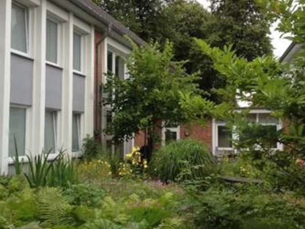 Foto: Anna Glindemann Grüner Garten mit Farn und Büschen, auf der linken Seite ein weißes Haus