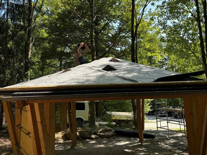 Eine Person steht auf einem Dach und führt Arbeiten zur Dachbegrünung aus