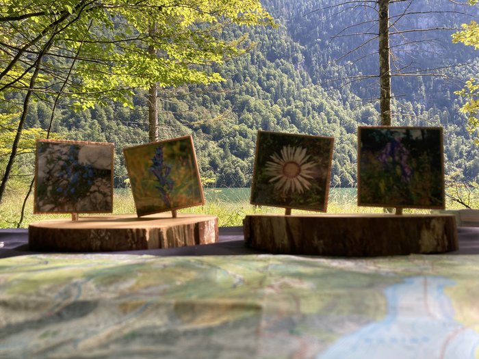 Infostand-Materialien im Vordergrund, im Hintergrind baumbewachsene Berge und der Königssee