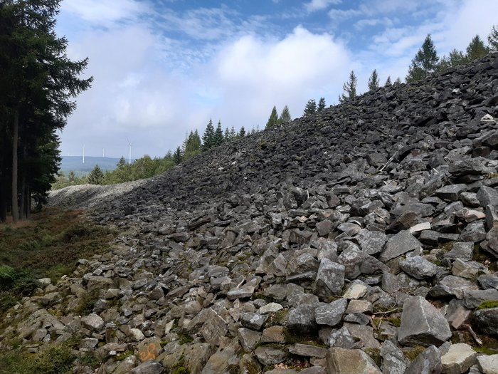 Foto: Wiebke Rakers Blick über einen imposanten keltischen Ringwall, den „Hunnenring“