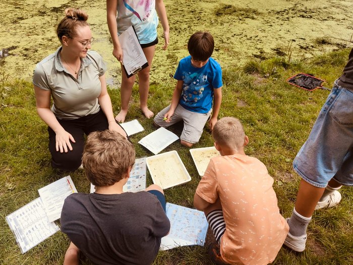 Eine Gruppe von Kindern sitzt im Kreis und bestimmt etwas mithilfe von Bestimmungshilfen 