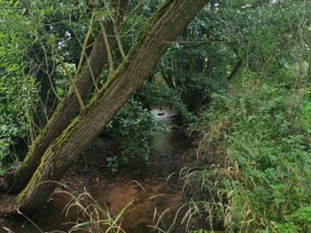 Ein Bach im Biospöhrenreservat Rhön
