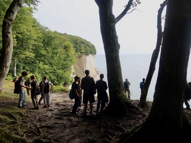 Menschen sind von hinten zu sehen, wie sie auf die Kreidefelse blicken