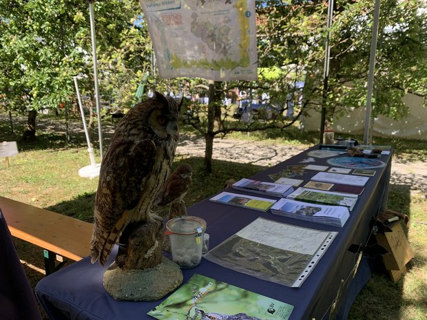 Infostand des Schutzgebiets mit Infomaterial sowie ausgestopften Vögeln
