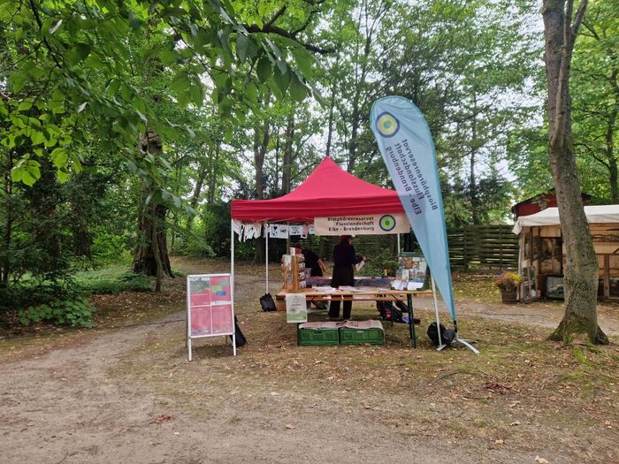 Ein Stand auf einem Fest vom Biosphärenreservat Flusslandschaft Elbe-Brandenburg im Wald