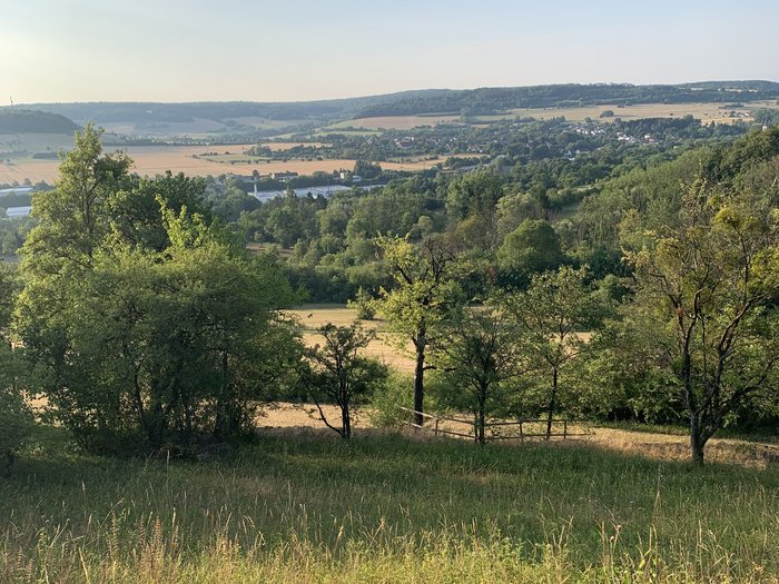 Wiese im Vordergrund, hügelige Landschaft wird durch Baumreihe abgegrenzt.
