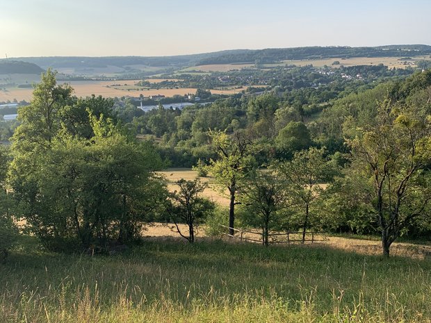Wiese im Vordergrund, hügelige Landschaft wird durch Baumreihe abgegrenzt.