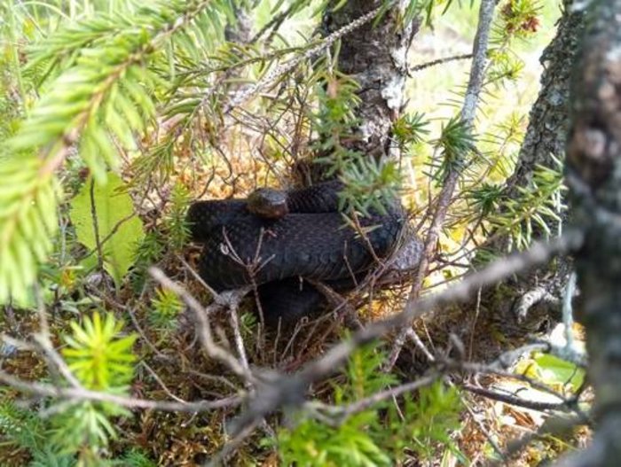 Bild: Berglandschaft