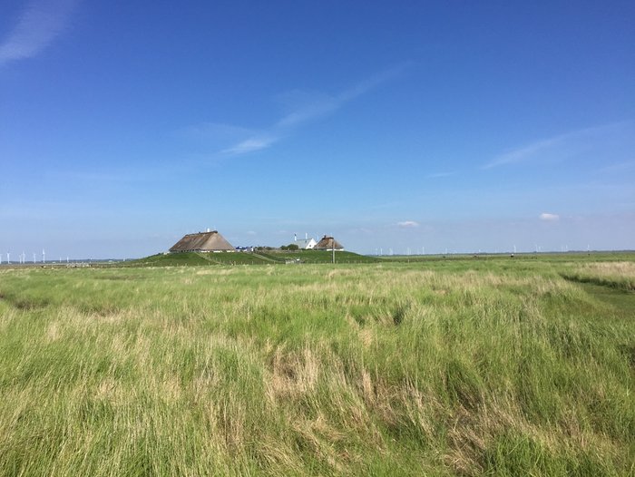 Foto: Johanna Knupfer Blick über die weiten Salzwiesen der Hamburger Hallig