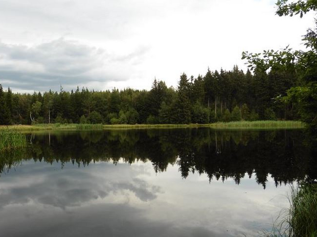 Blick auf den Lehmheider Teich (Foto: Ann-Mareike Schmid)