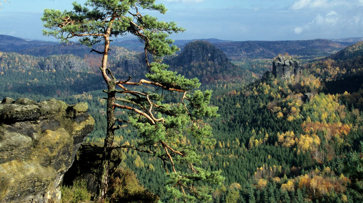 Bild: Nationalpark Sächsische Schweiz