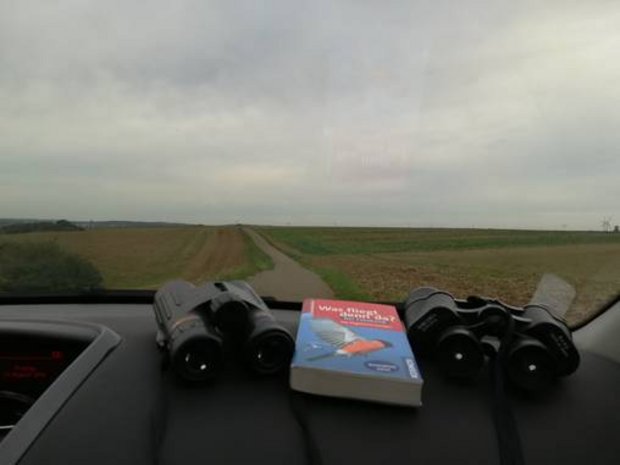 Blick aus den Autofenster in die Landschaft, im Vordergrund ein Buch