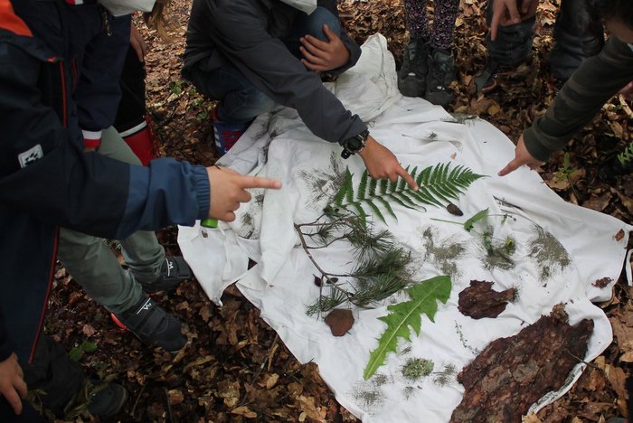 Kinder erkunden den Wald (Foto Anneke Hoppe)