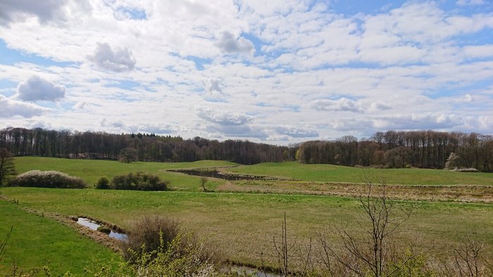 Ausblick übers Biosphärenreservat Schaalsee (Foto Marie-Kristin Guß)