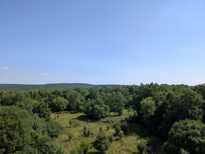 Blick über eine waldreiche Landschaft mit einigen Offenstellen