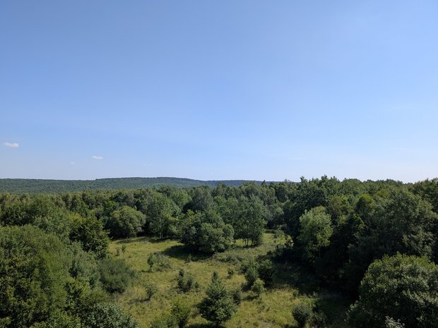 Blick über eine waldreiche Landschaft mit einigen Offenstellen
