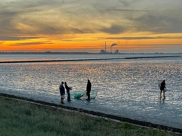 Sonnenuntergang im Wattenmeer.