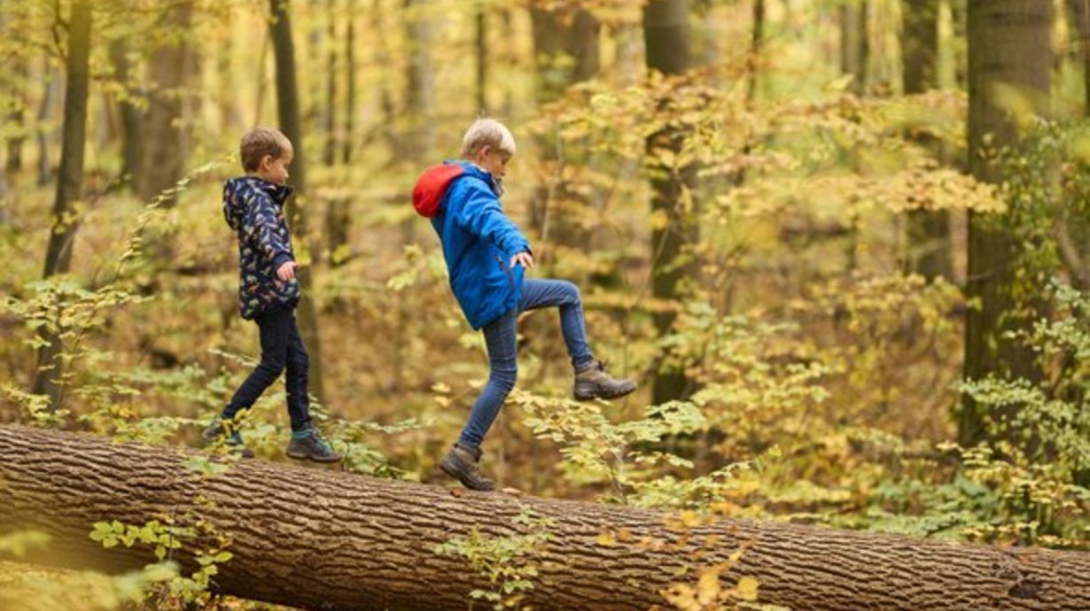 Zwei Kinder balancieren auf einem Baumstamm