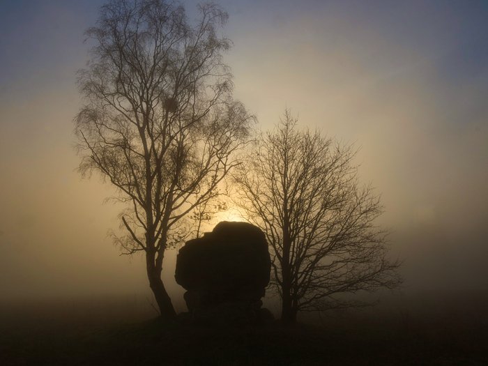 Die Sonne steht hinter einem Fels, man sieht dessen Umriss sowie den von zwei Bäumen, es ist sehr nebelig