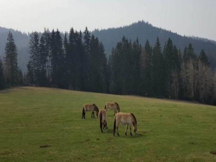 Bild: Berglandschaft