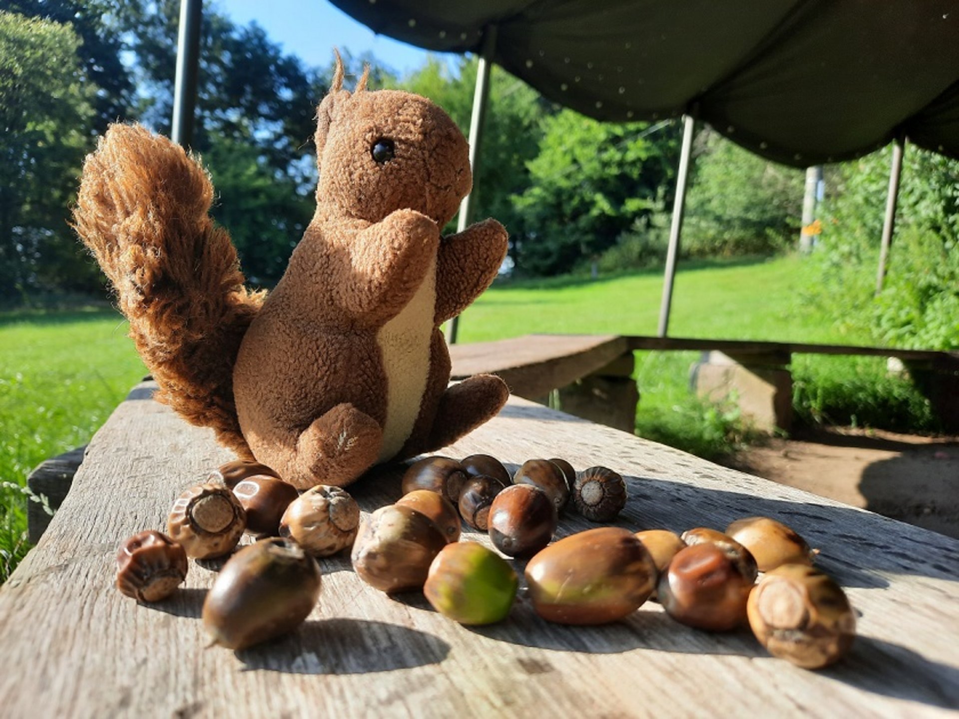 Eichhörnchen-Stofftier mit Eichelausbeute.