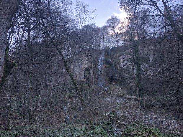 Blick auf einen Wasserfall im Hintergrund, im Vordergrund unbelaubte Bäume