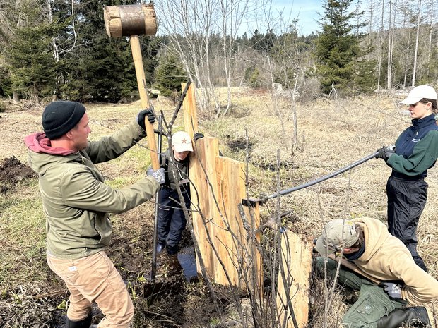 Menschen bauen einen Damm aus Holz.