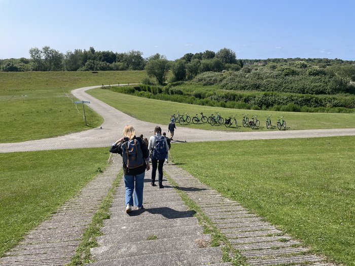 Foto: Jan-Malte Paatz Mehrere Personen laufen eine auf einer Wiese gelegene Treppe herunter, im Hintergrund stehen Fahrräder