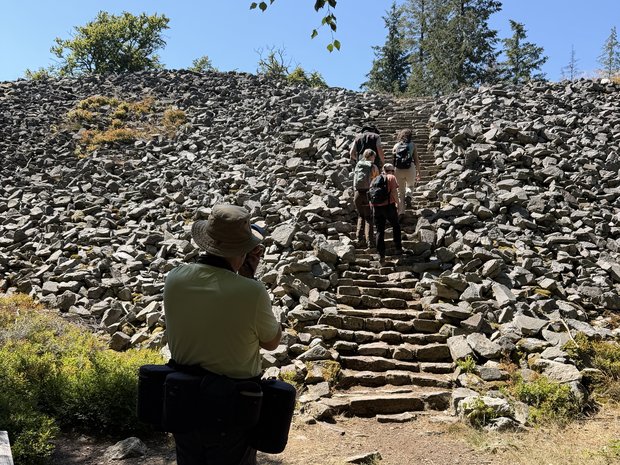 Vier Personen laufen auf einer Treppe einen mit Naturstein gesäumten Hang hoch.