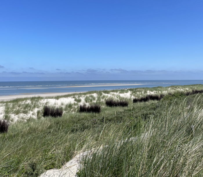 Blick auf eine Dünenlandschaft vor dem offenen Meer. 