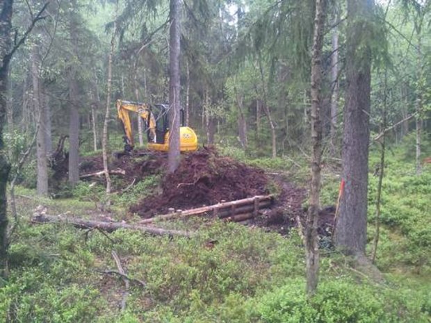 Foto: Kevin Meyer Bagger gräbt den Wald um
