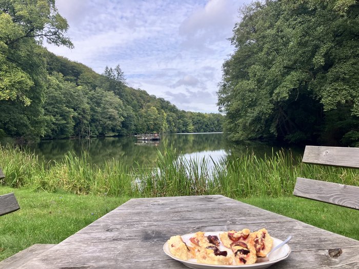 Im Vordergrund ein Holztisch mit einem Teller voll Kuchen, im Hintergrund ein See mit grüner Ufervegetation