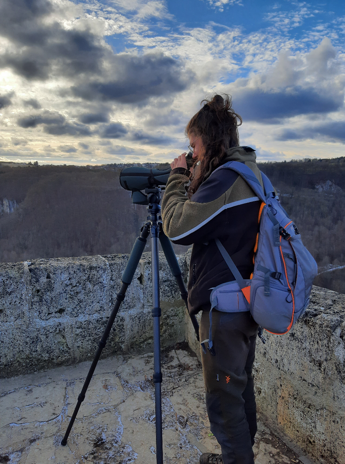 Emma beobachtet durch ein Spektiv Vögel