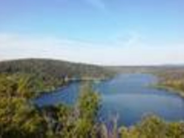 Foto: Moritz Hess Blick in die Landschaft aus Bäumen und See
