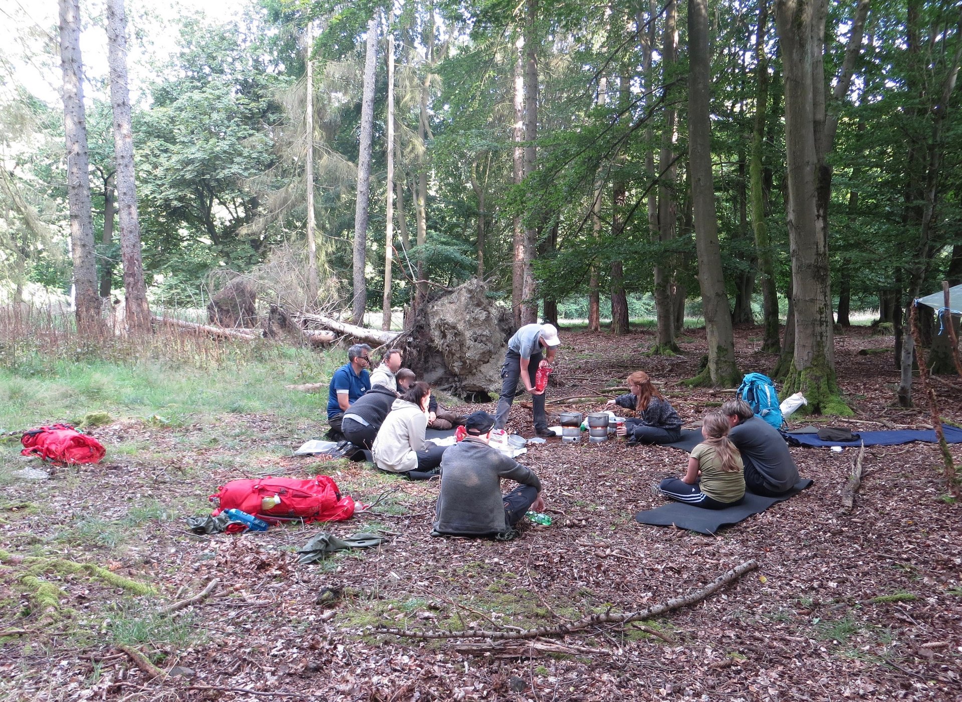 Foto: Lucy Fleischhauer Eine Gruppe von Menschen sitzt auf einer Lichtung im Wald