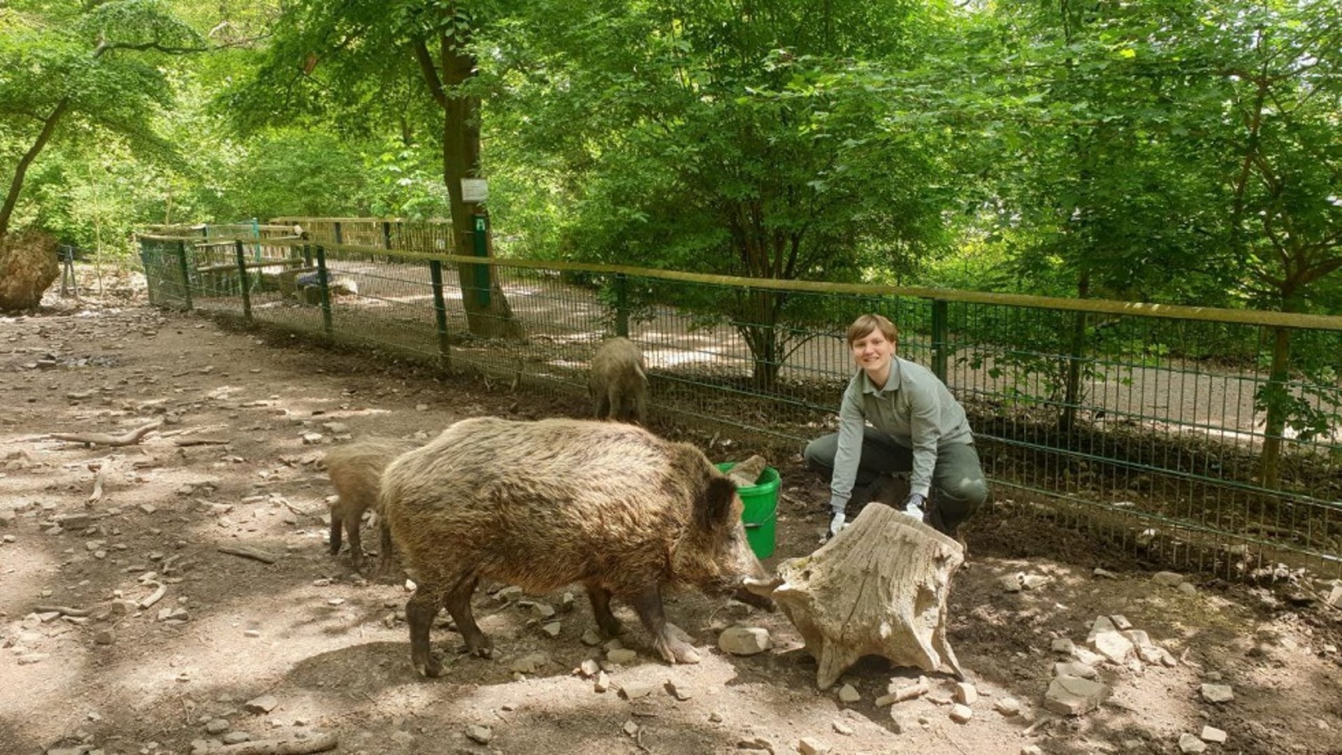 Kirke Müller sitzt in einem Wildschweingehege im Wildtierpark. 