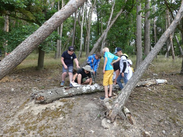 Eine Gruppe Grundschulkinder im Wald auf Entdeckungstour. 