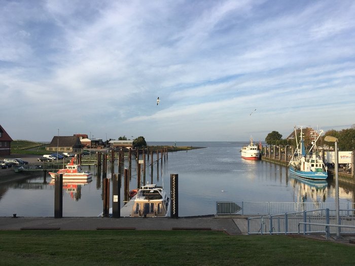 Hafen mit mehreren kleinen Segelboten und Blick auf das Meer