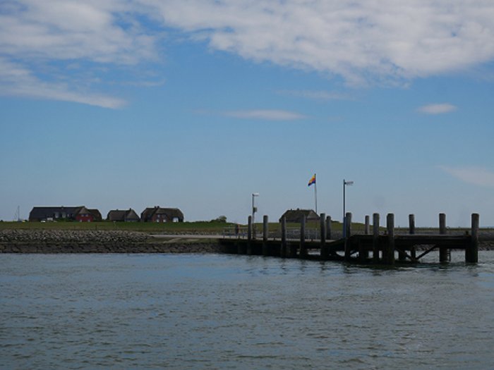 Blick auf eine Hallig im Wattenmeer.