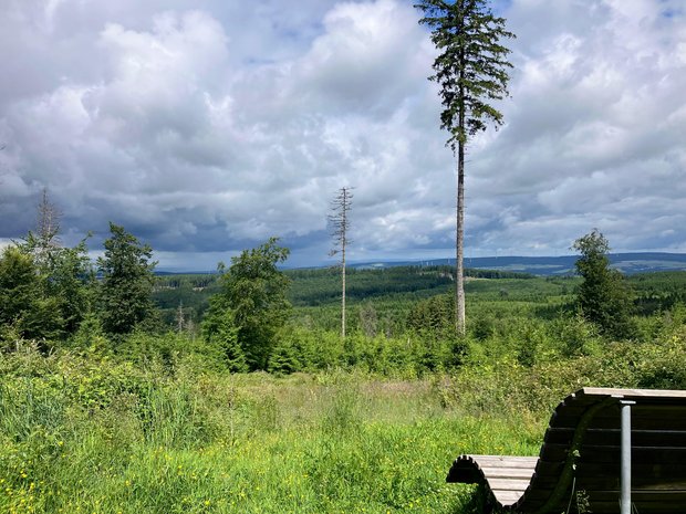 Blick von einer Kuppe über Hügel mit Bäumen und Offenland