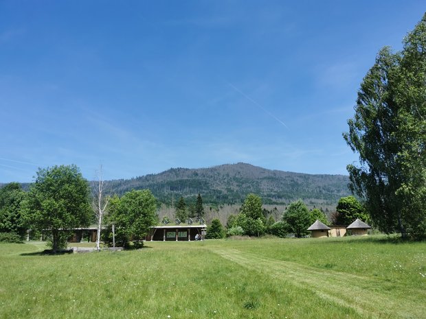 Blick auf den Falkenstein (Berg)