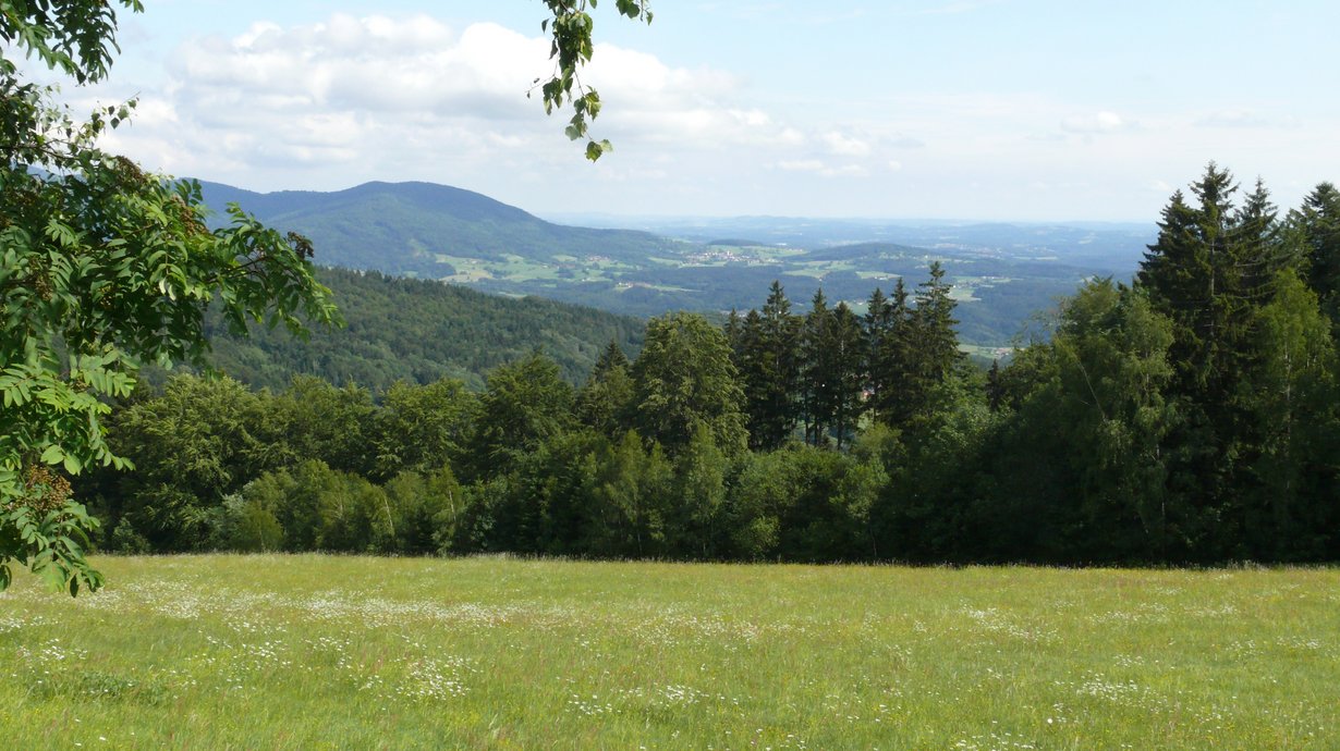 Bild: Nationalpark Bayerischer Wald